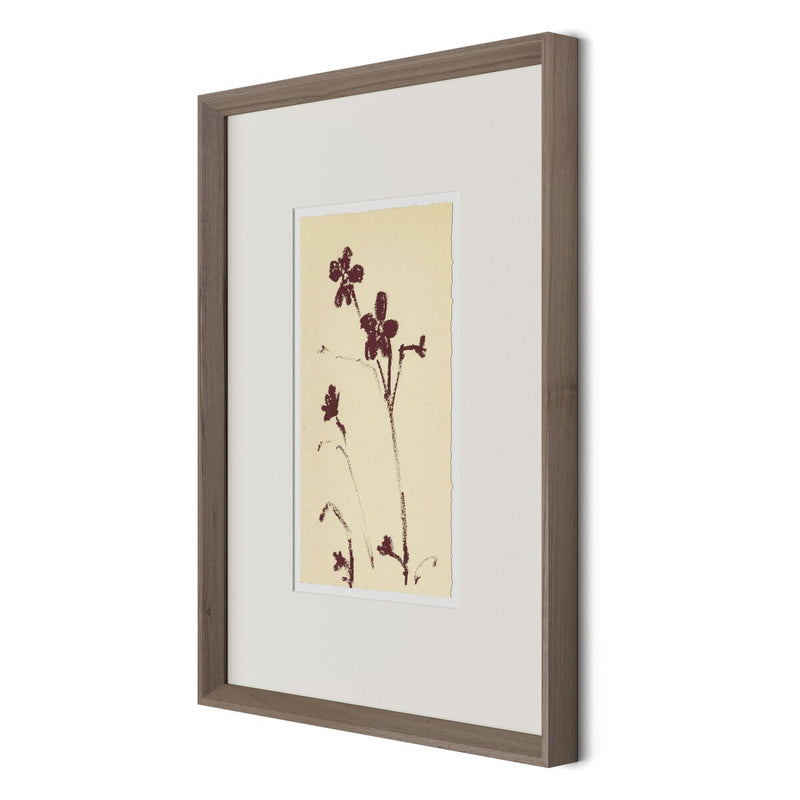 Meadow Rue No.9 by Shaina Page - Rooftop Rustic Walnut