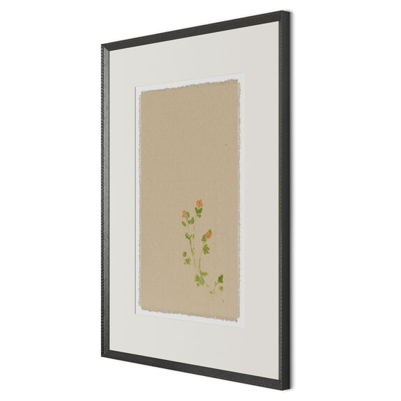 Botanical IV by Brittany Smith - Brimfield Black