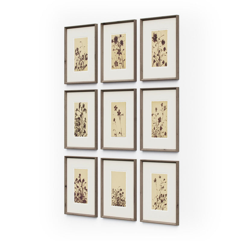 Wild Blooms Set - Rooftop Rustic Walnut