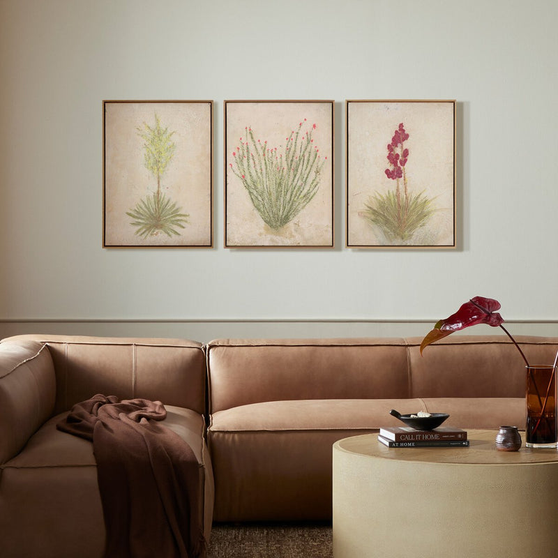 Desert Flora Triptych by Paul Meyer - White Oak Floater