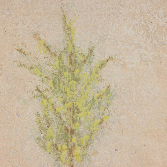 Desert Flora Triptych by Paul Meyer - White Oak Floater