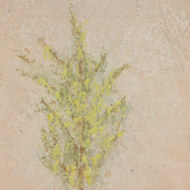 Desert Flora Triptych by Paul Meyer - White Oak Floater