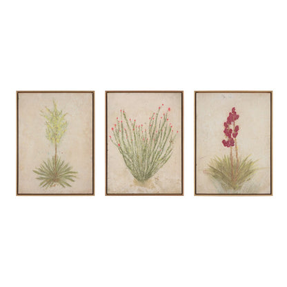 Desert Flora Triptych by Paul Meyer - White Oak Floater