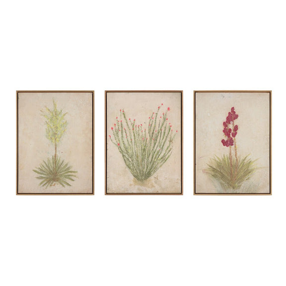 Desert Flora Triptych by Paul Meyer - White Oak Floater