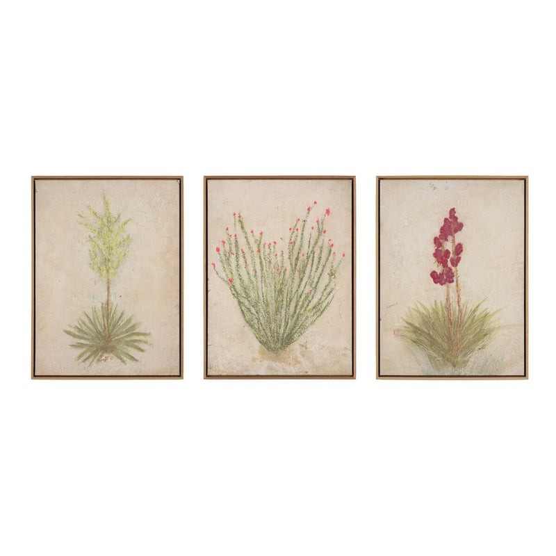 Desert Flora Triptych by Paul Meyer - White Oak Floater