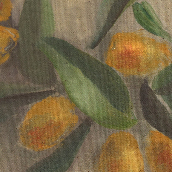 Citrus Still Life by Jess Engle - Rooftop Rustic Walnut