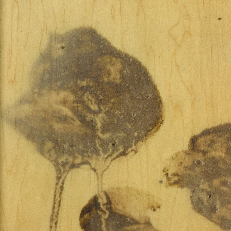 Lutare Diptych by Kelly Rogers - Rustic Walnut Floater