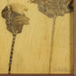 Lutare Diptych by Kelly Rogers - Rustic Walnut Floater