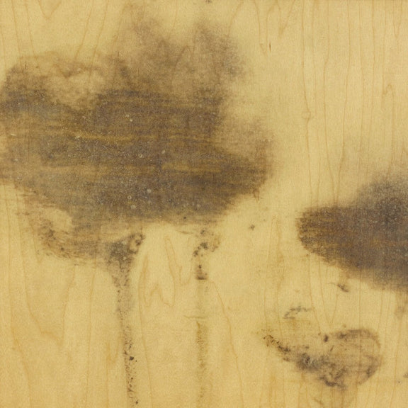 Lutare Diptych by Kelly Rogers - Rustic Walnut Floater