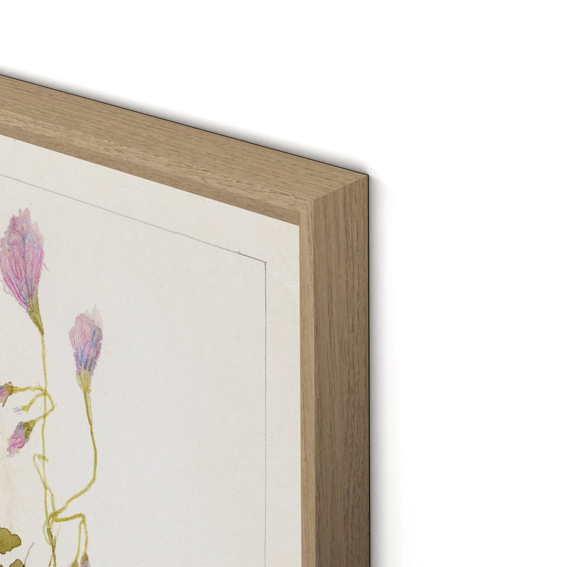 Oxalis Debilis No. 1 by Laurel-Dawn Latshaw - White Oak