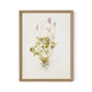 Oxalis Debilis No. 1 by Laurel-Dawn Latshaw - White Oak