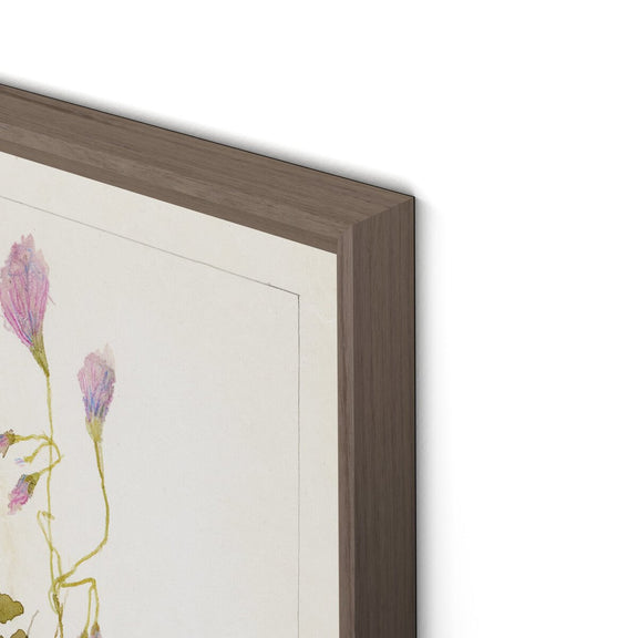 Oxalis Debilis No. 1 by Laurel-Dawn Latshaw - Rustic Walnut