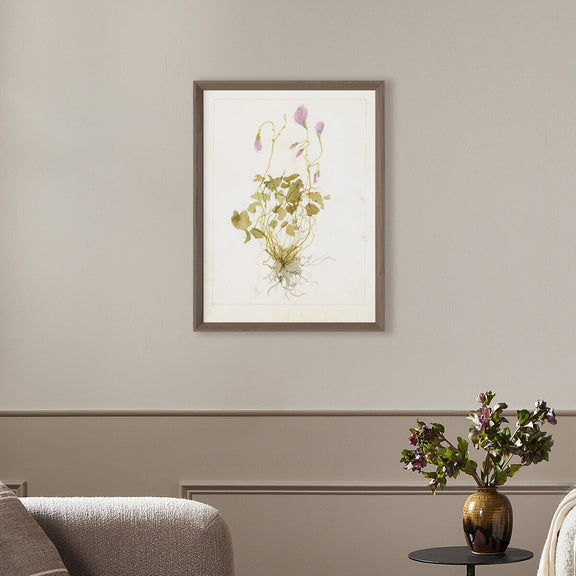 Oxalis Debilis No. 1 by Laurel-Dawn Latshaw - Rustic Walnut