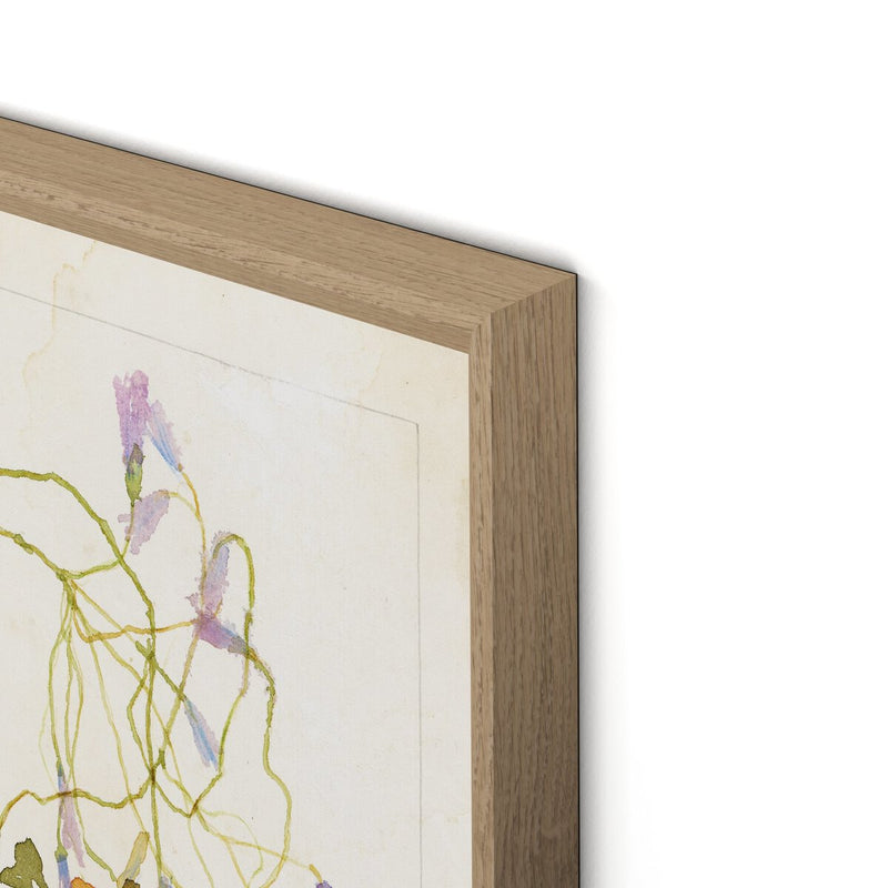 Oxalis Debilis No. 2 by Laurel-Dawn Latshaw - White Oak