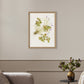 Oxalis Debilis No. 2 by Laurel-Dawn Latshaw - White Oak