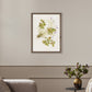 Oxalis Debilis No. 2 by Laurel-Dawn Latshaw - Rustic Walnut