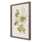 Oxalis Debilis No. 2 by Laurel-Dawn Latshaw - Rustic Walnut
