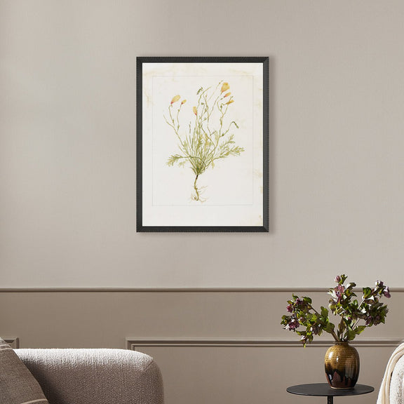 Papaveraceae No. 1 by Laurel-Dawn Latshaw - Brimfield Black