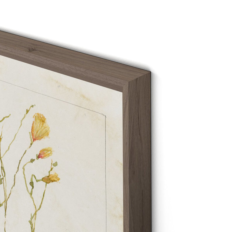 Papaveraceae No. 1 by Laurel-Dawn Latshaw - Rustic Walnut
