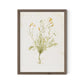 Papaveraceae No. 1 by Laurel-Dawn Latshaw - Rustic Walnut