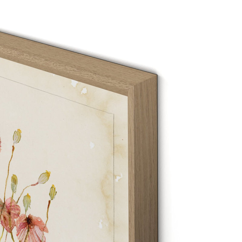 Papaveraceae No. 2 by Laurel-Dawn Latshaw - White Oak