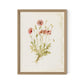 Papaveraceae No. 2 by Laurel-Dawn Latshaw - White Oak
