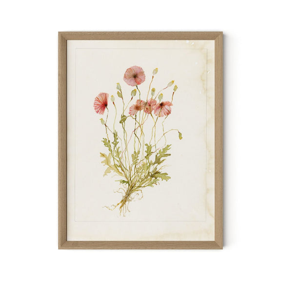 Papaveraceae No. 2 by Laurel-Dawn Latshaw - White Oak