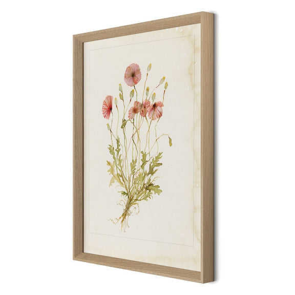 Papaveraceae No. 2 by Laurel-Dawn Latshaw - White Oak