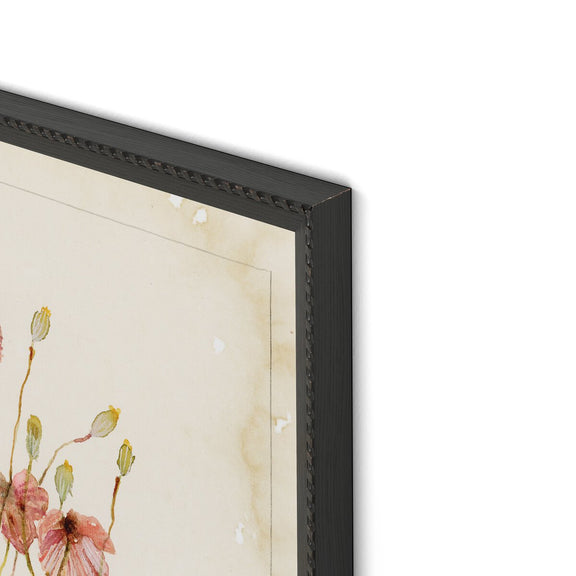 Papaveraceae No. 2 by Laurel-Dawn Latshaw - Brimfield Black
