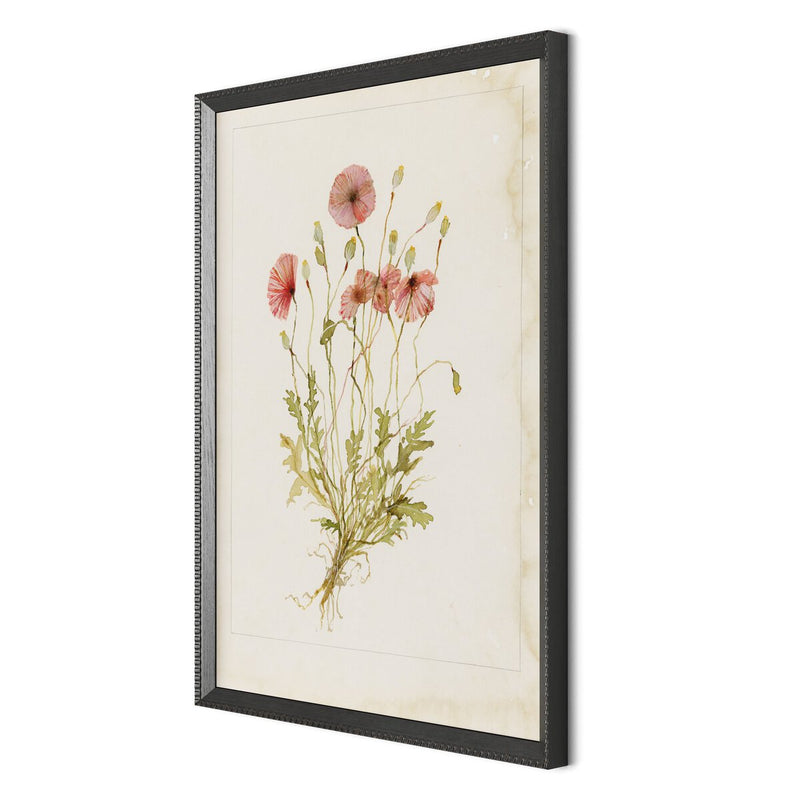 Papaveraceae No. 2 by Laurel-Dawn Latshaw - Brimfield Black