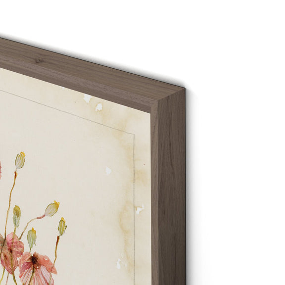 Papaveraceae No. 2 by Laurel-Dawn Latshaw - Rustic Walnut