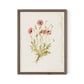 Papaveraceae No. 2 by Laurel-Dawn Latshaw - Rustic Walnut