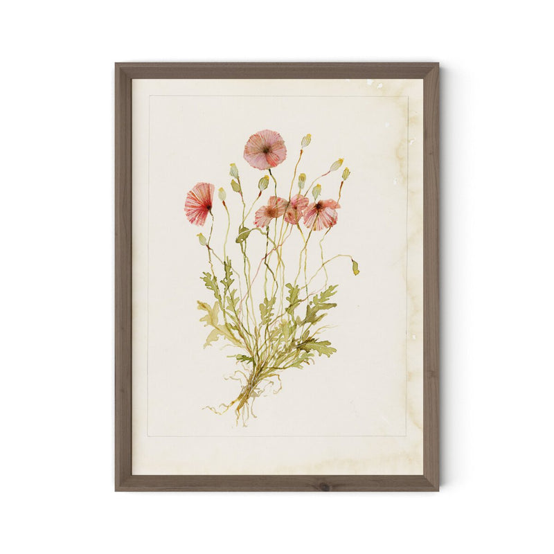 Papaveraceae No. 2 by Laurel-Dawn Latshaw - Rustic Walnut
