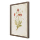 Papaveraceae No. 2 by Laurel-Dawn Latshaw - Rustic Walnut