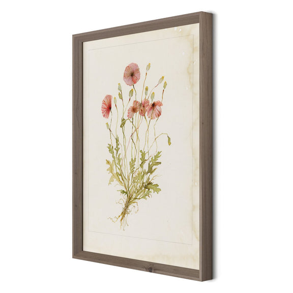 Papaveraceae No. 2 by Laurel-Dawn Latshaw - Rustic Walnut