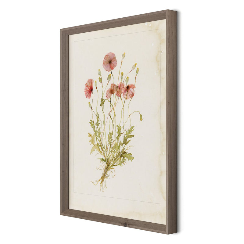 Papaveraceae No. 2 by Laurel-Dawn Latshaw - Rustic Walnut