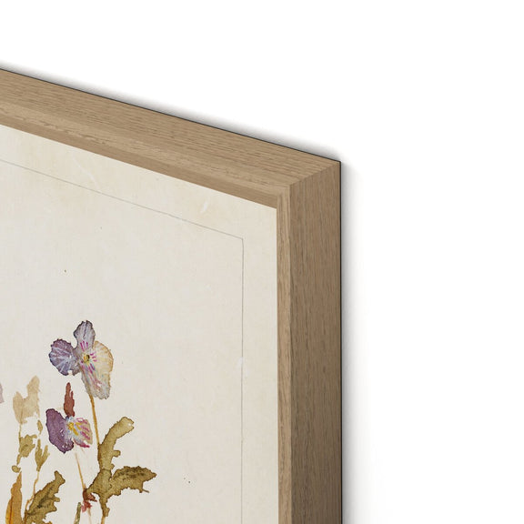 Viola No. 2 by Laurel-Dawn Latshaw - White Oak