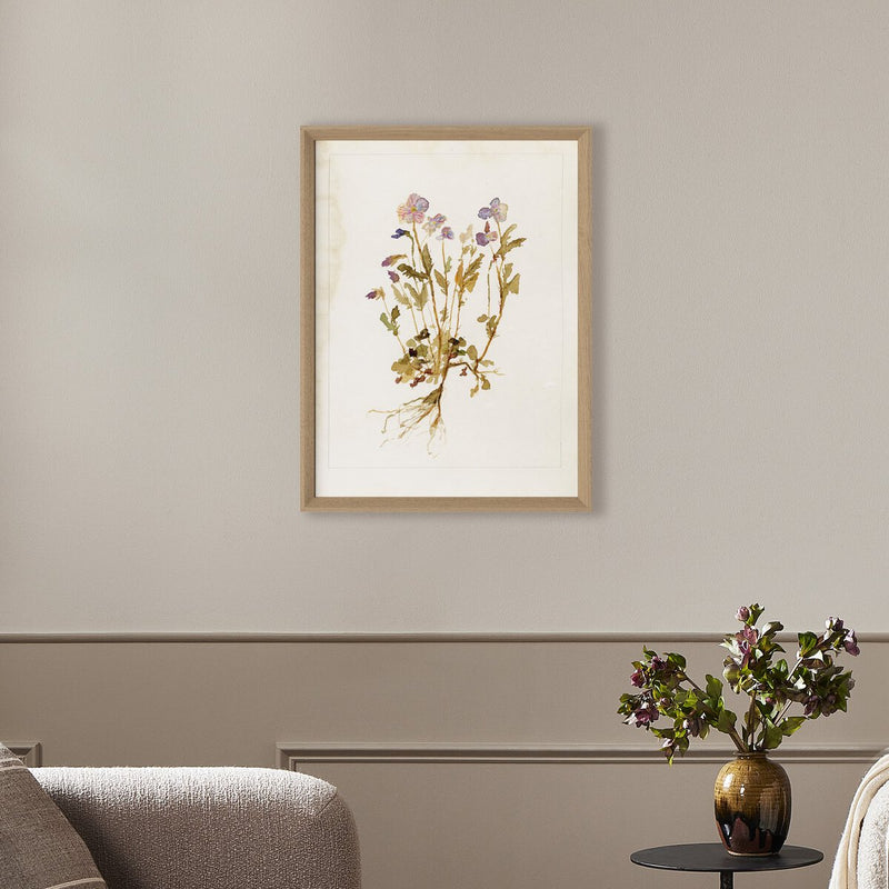 Viola No. 2 by Laurel-Dawn Latshaw - White Oak