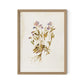 Viola No. 2 by Laurel-Dawn Latshaw - White Oak