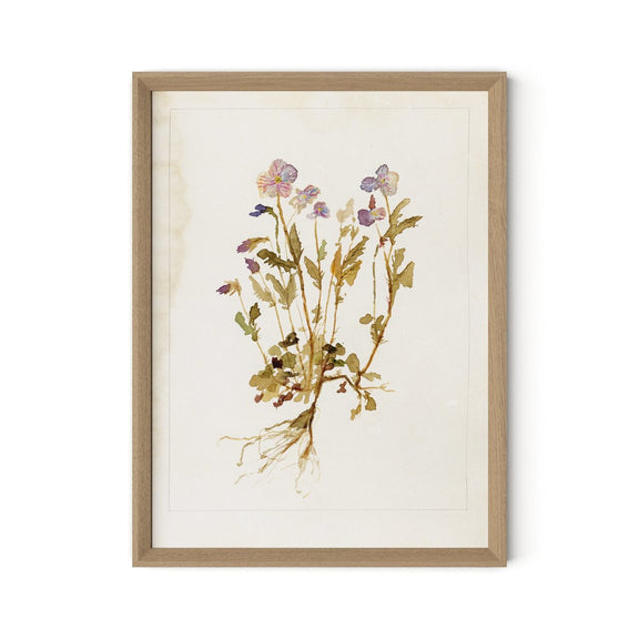 Viola No. 2 by Laurel-Dawn Latshaw - White Oak