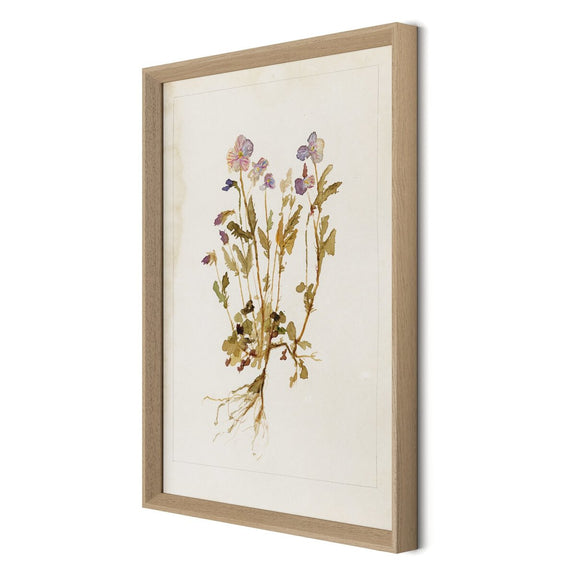Viola No. 2 by Laurel-Dawn Latshaw - White Oak