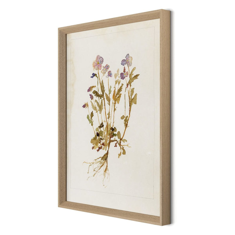 Viola No. 2 by Laurel-Dawn Latshaw - White Oak