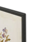 Viola No. 2 by Laurel-Dawn Latshaw - Brimfield Black