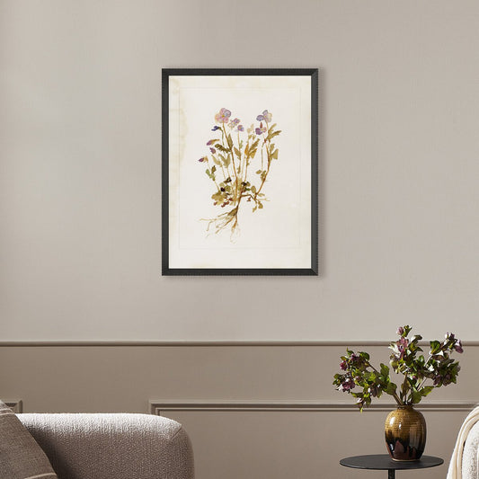 Viola No. 2 by Laurel-Dawn Latshaw - Brimfield Black