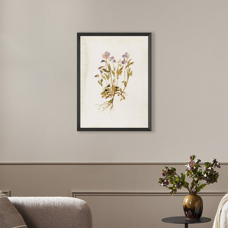 Viola No. 2 by Laurel-Dawn Latshaw - Brimfield Black