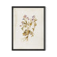 Viola No. 2 by Laurel-Dawn Latshaw - Brimfield Black