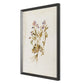 Viola No. 2 by Laurel-Dawn Latshaw - Brimfield Black