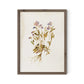 Viola No. 2 by Laurel-Dawn Latshaw - Rustic Walnut