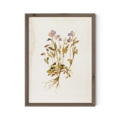 Viola No. 2 by Laurel-Dawn Latshaw - Rustic Walnut