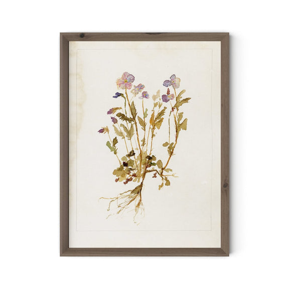 Viola No. 2 by Laurel-Dawn Latshaw - Rustic Walnut